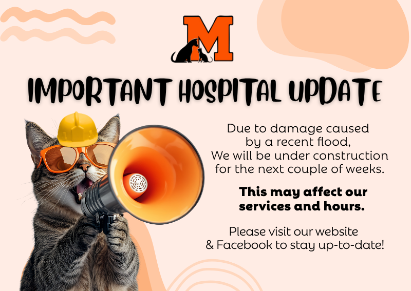 Carousel Slide 1: Learn More!